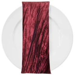 Accordion Taffeta Table Napkin in Cherry