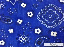 Bandana Print