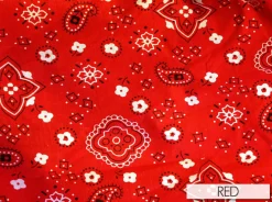 Bandana Print