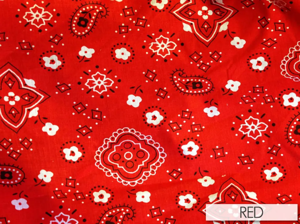Bandana Print
