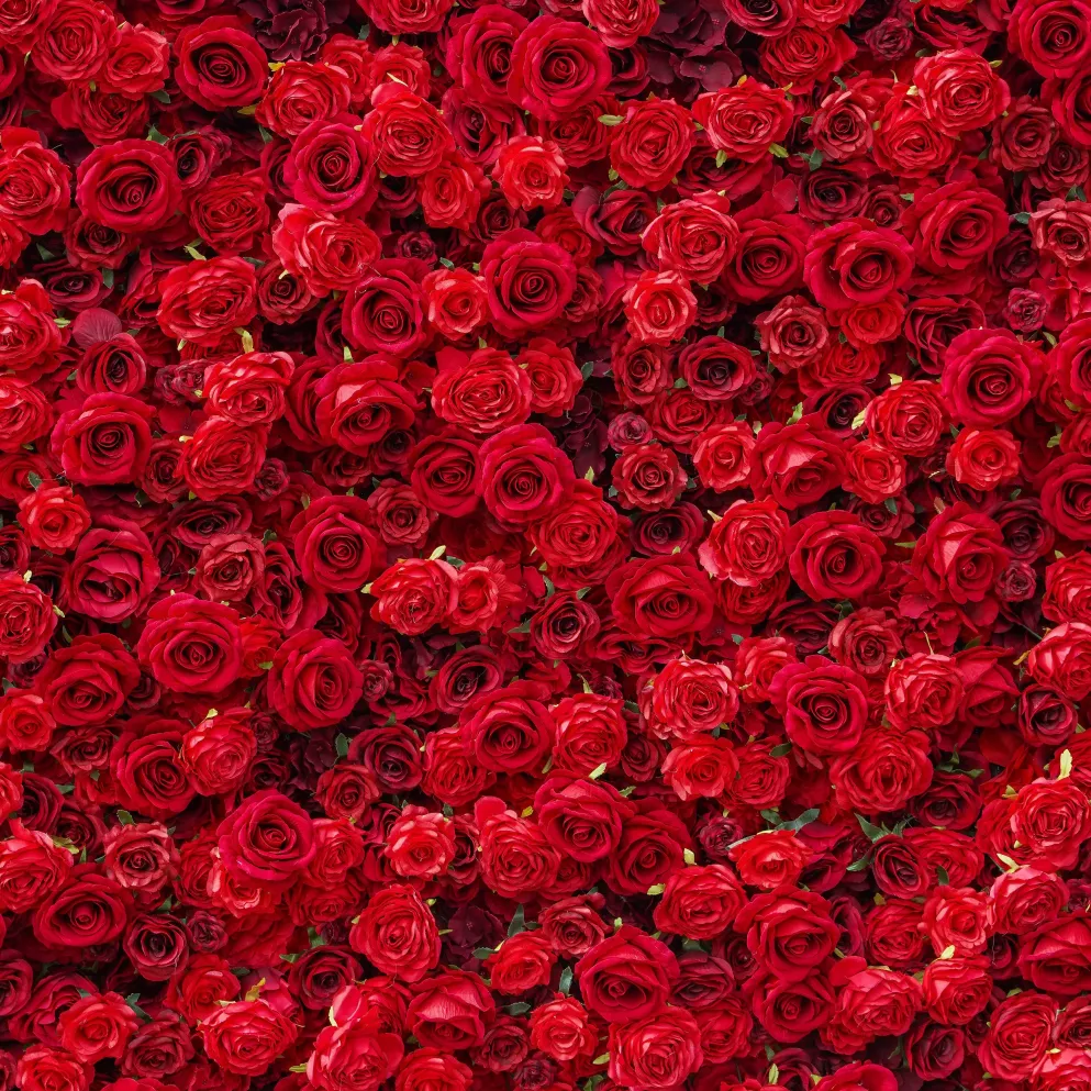 Flower Wall - Stacie
