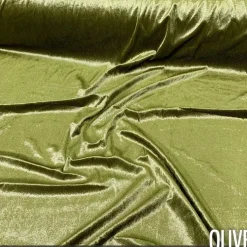 Lush Velvet Drapery Panel in Olive