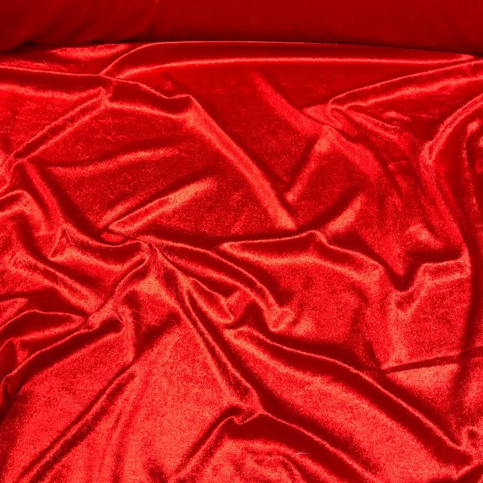 Lush Velvet Drapery Panel in Red
