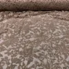 Milan Lace (w/ Poly Lining) Table Napkin in Champagne