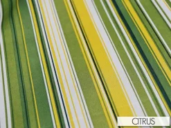 Multi-Colored Stripe