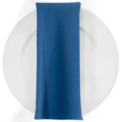 Premium Poly (Poplin) Table Napkin in Lagoon 2050