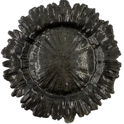 Reef - Glass Charger Plate in Black (Item # 0126)