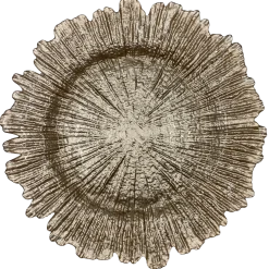 Reef - Glass Charger Plate in Champagne (Item # 0126)