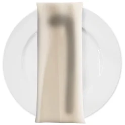 Scuba (Wrinkle-Free) Table Napkin in Ivory