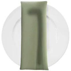 Scuba (Wrinkle-Free) Table Napkin in Sage Mint