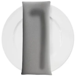 Scuba (Wrinkle-Free) Table Napkin in Gray