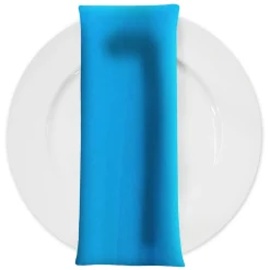 Scuba (Wrinkle-Free) Table Napkin in Turquoise 1142